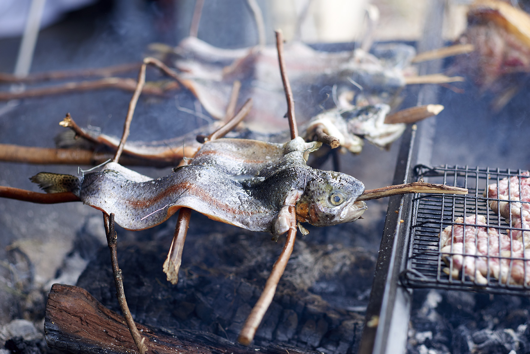 Wild trout cooked over fire
