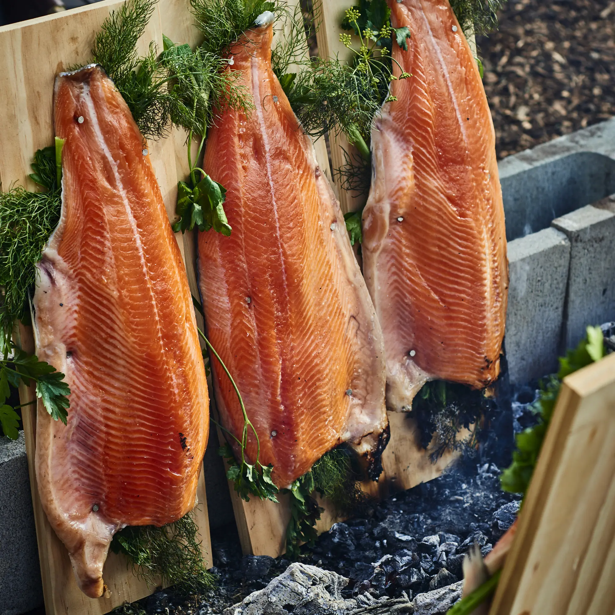 Whole sides of salmon cooked over open fire