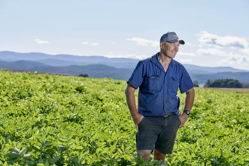 Potato grower for Simplot Australia