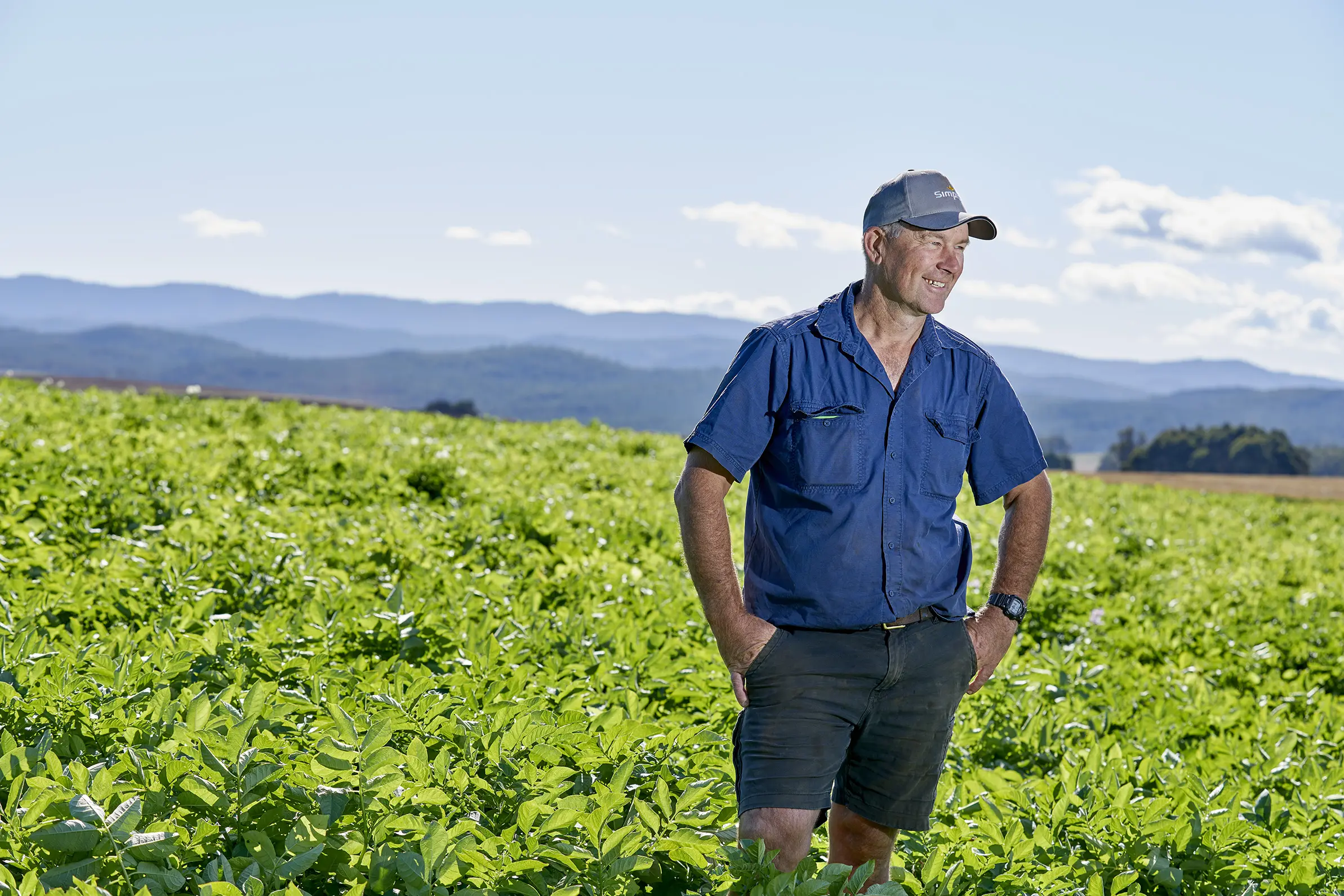 Potato grower for Simplot Australia