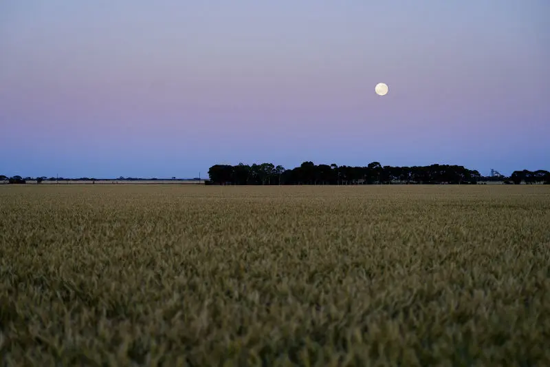 Moon - South Australia