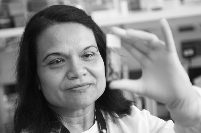 Images for Research paper on Ovarian Cancer