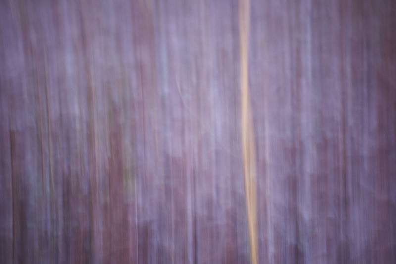 Abstract Denmark