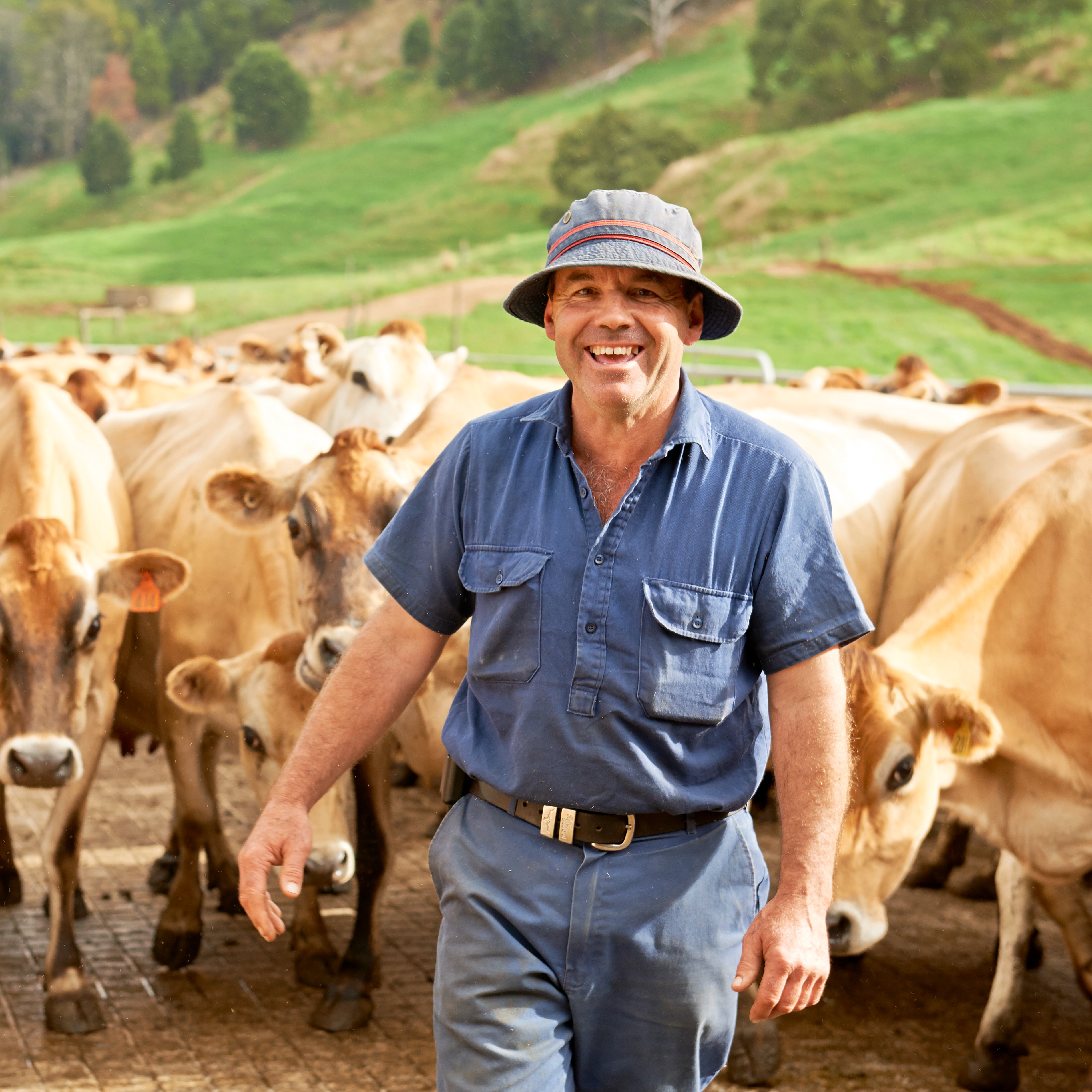 Murray Goulboun - fresh milk ad