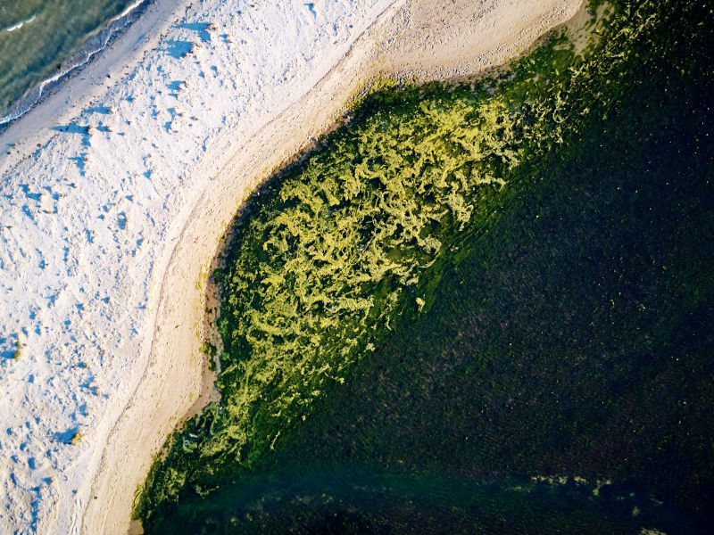 Cheetham Wetlands - Melbourne