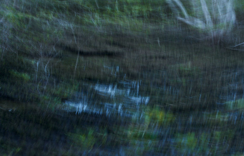 Abstract