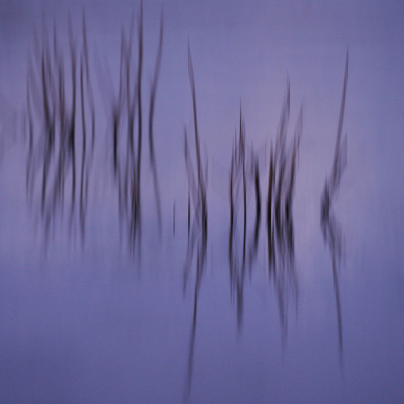 Reflections