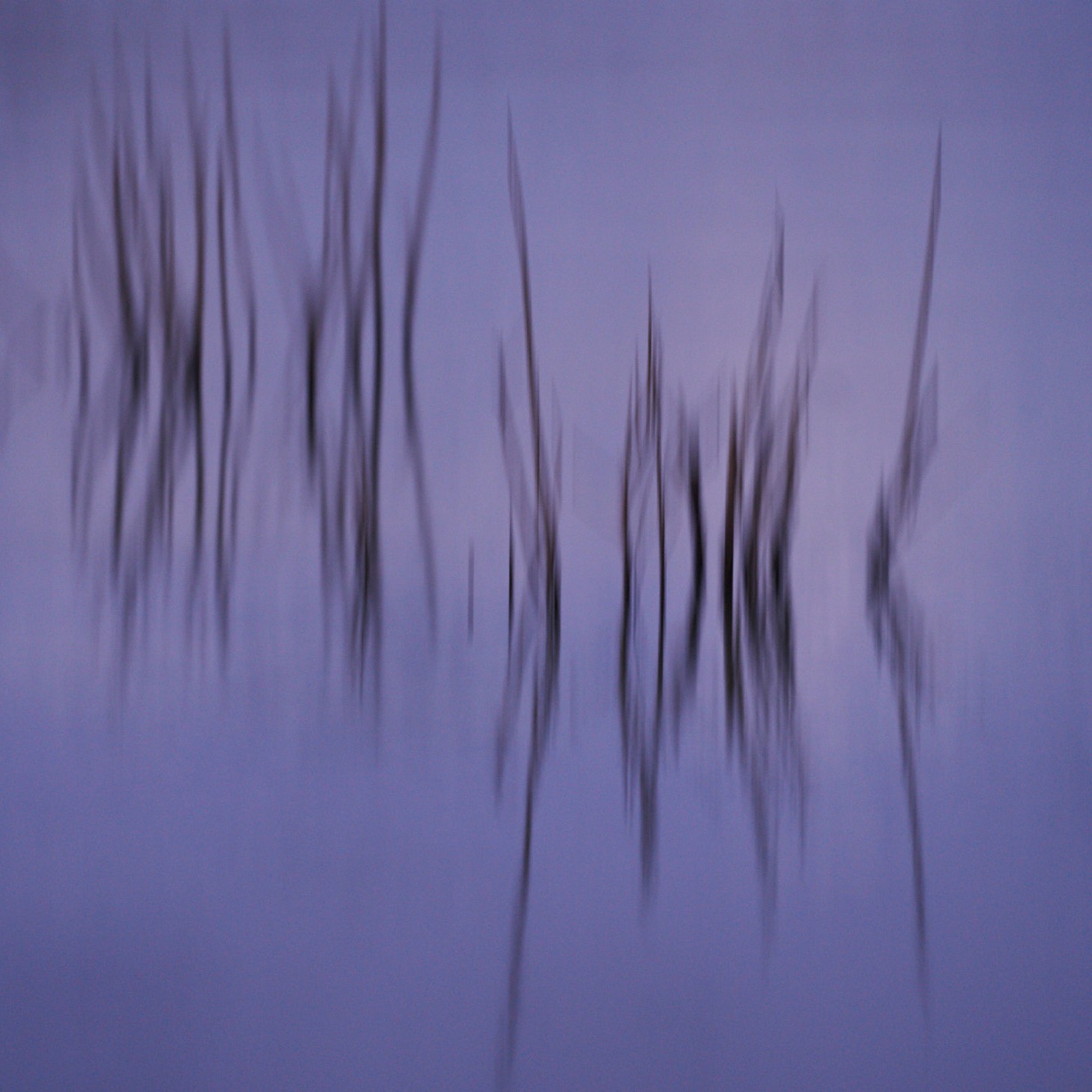 Reflections