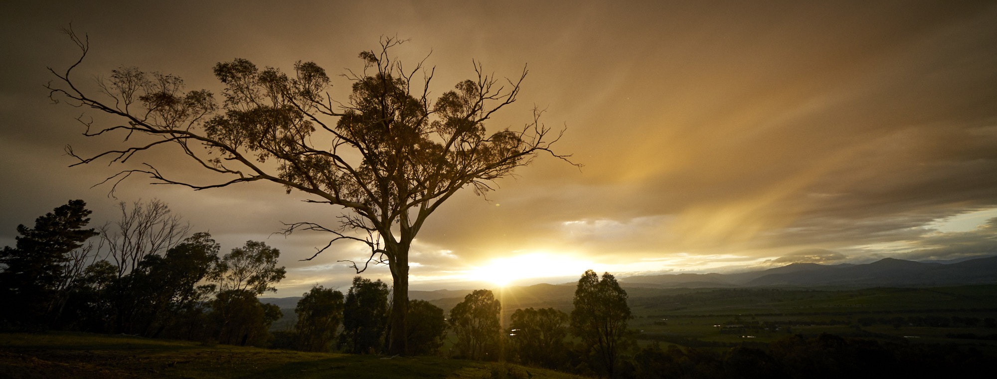 Mansfield - Victoria