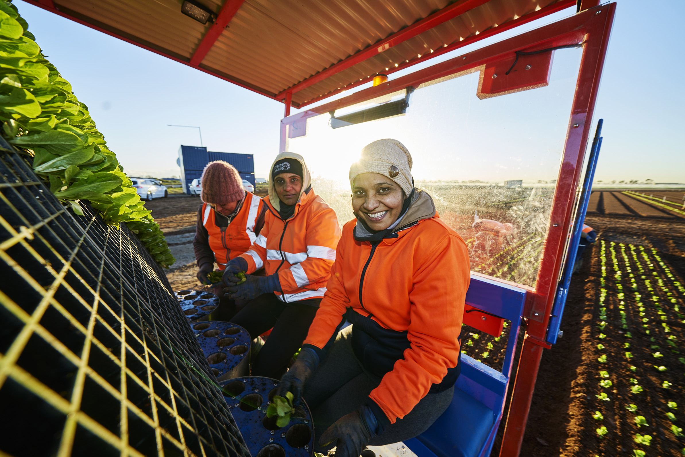 Recruitment images for Fragapane Farms