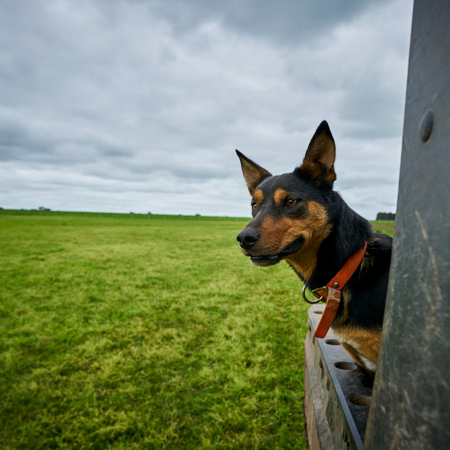 Branding images Barenbrug