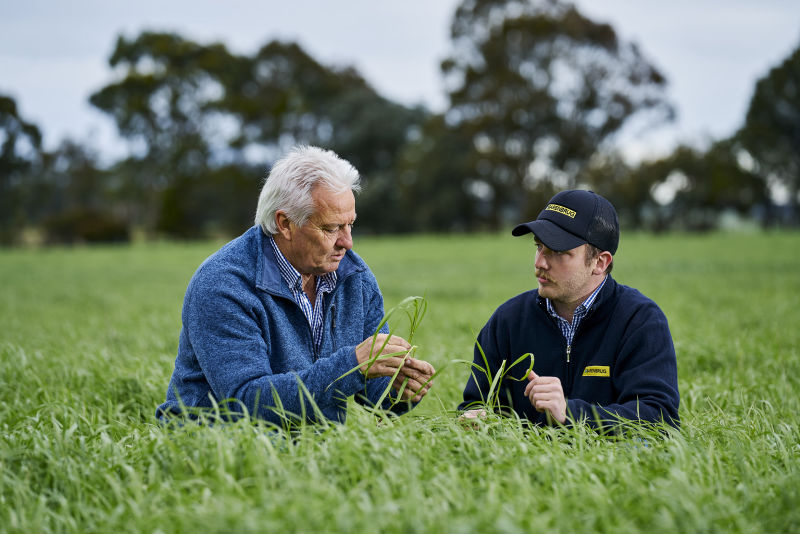 Ag consultant for Barenbrug