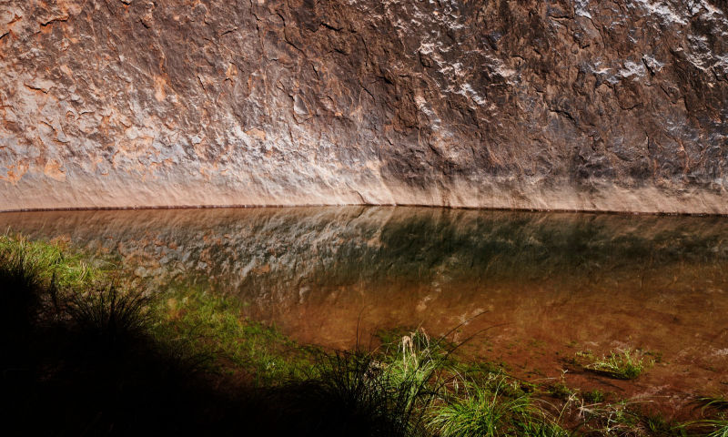 Kings Canyon - NT