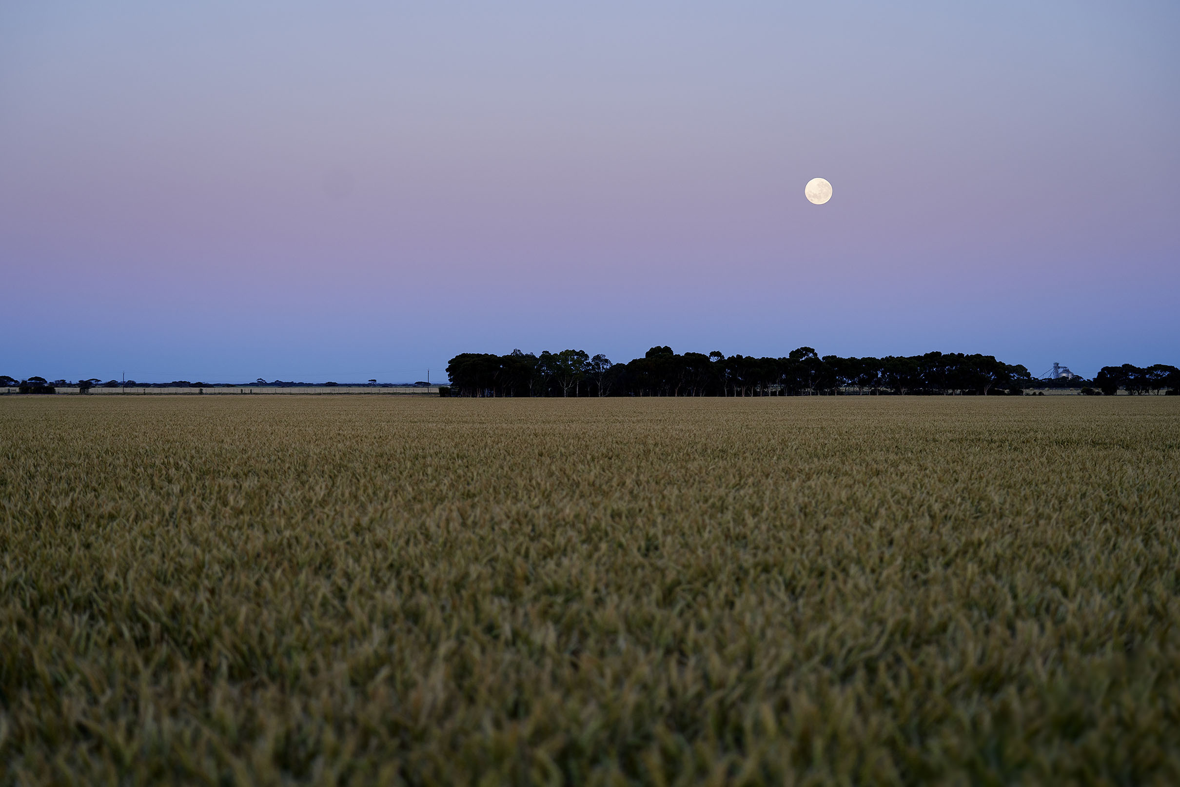 Moon - South Australia