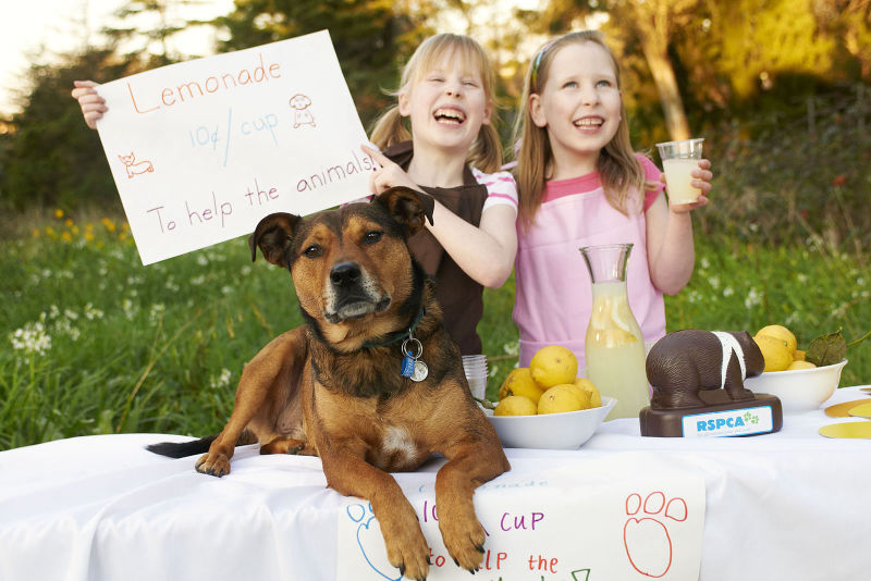 Campaign for RSPCA Vic