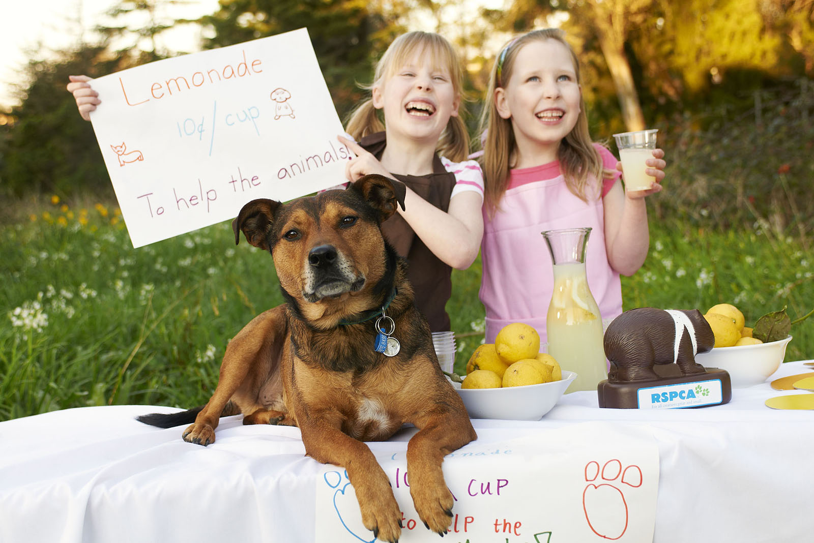 Campaign for RSPCA Vic