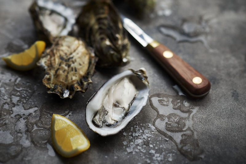 PFD Seafood launch photography