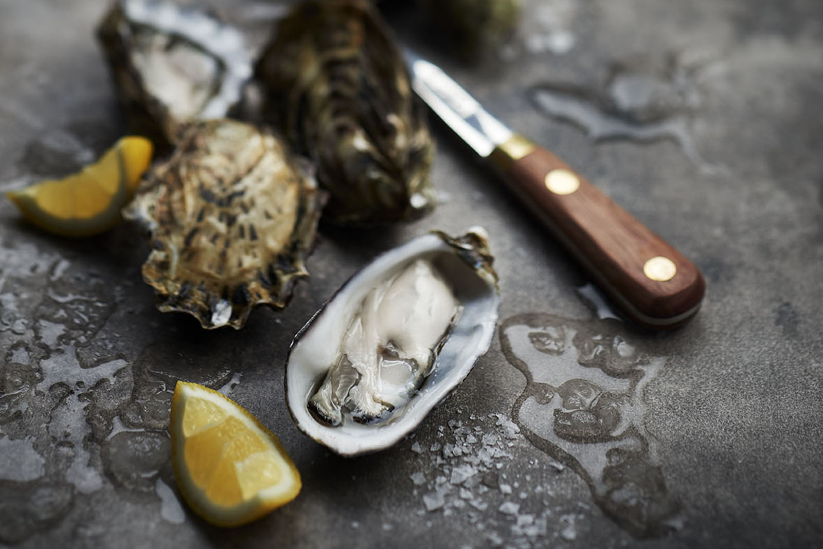 PFD Seafood launch photography