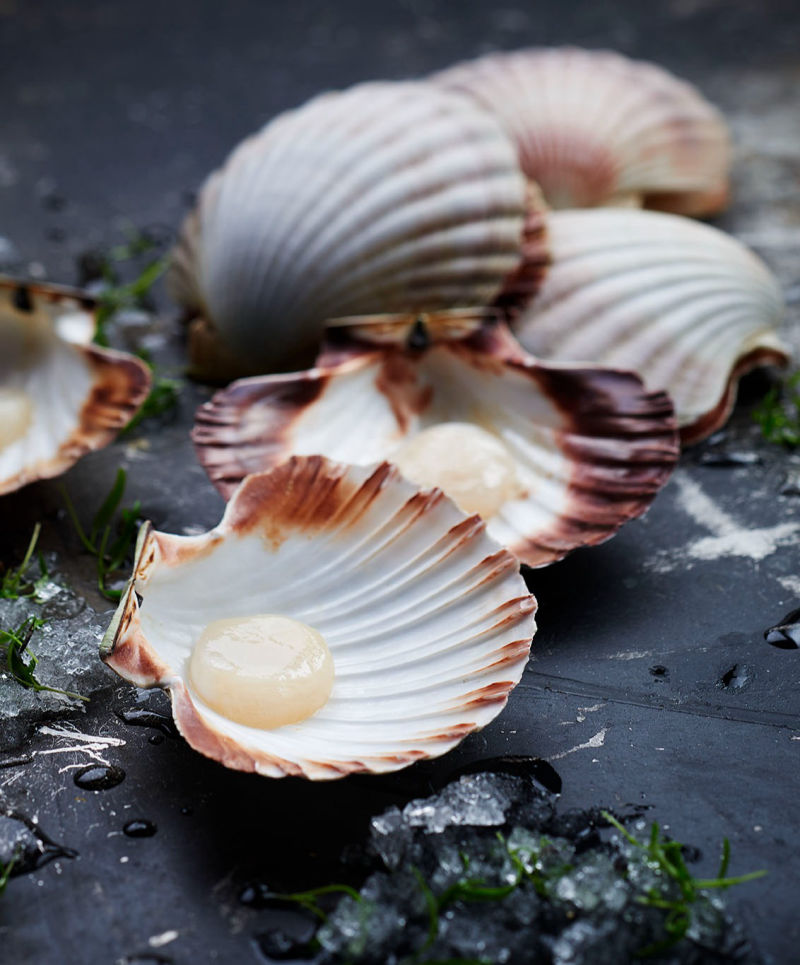 PFD Seafood launch photography